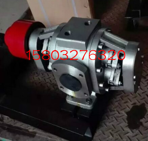 不銹鋼外潤滑保溫齒輪泵（304材質(zhì)）